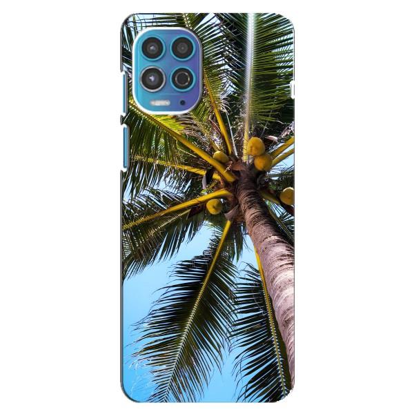 Силиконовый чехол с КАРТИНКАМИ лето для Motorola MOTO G100 (AlphaPrint) – Пальма