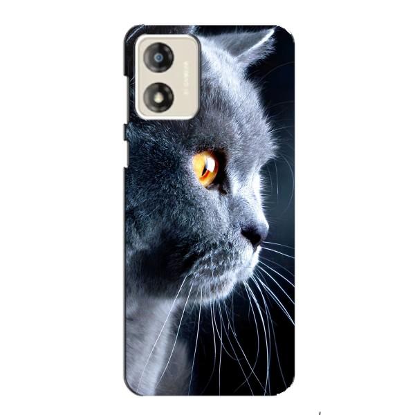 Чохли з Котиками для Motorola MOTO G13 (VPrint) – Сірий Кіт