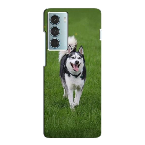 Чехол с Хаски для Motorola Moto G200 - (AlphaPrint) – Радостный Хаски