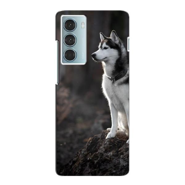 Чехол с Хаски для Motorola Moto G200 - (AlphaPrint) – Верный пес
