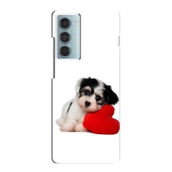 Чохли з собаками для Motorola MOTO G200 (VPrint) – Песик