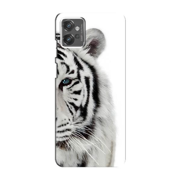 Чохли з картинкою животних Motorola MOTO G23 – Білий Тигр
