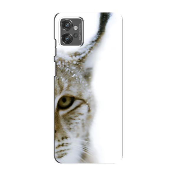 Чохли з картинкою животних Motorola MOTO G23 – Рись