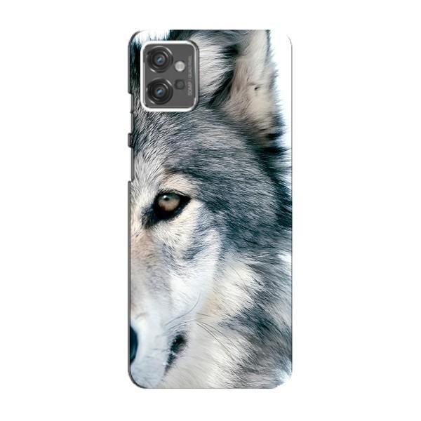 Чохли з картинкою животних Motorola MOTO G23 – Вовк