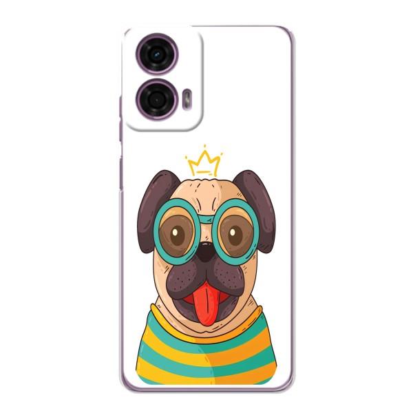 Бампер для Motorola MOTO G24 Power с картинкой "Песики" – Собака Король