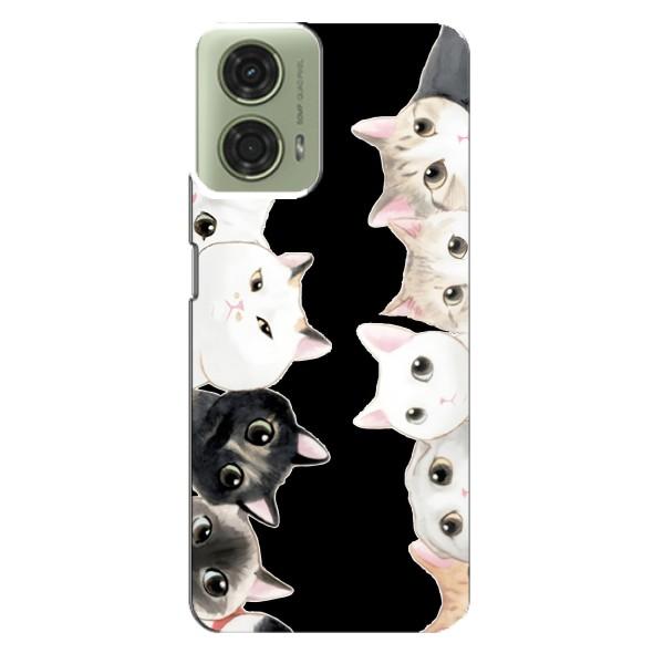 Чохол на Моторола МОТО G24 з Котиками (VPrint) – Погляд котиків