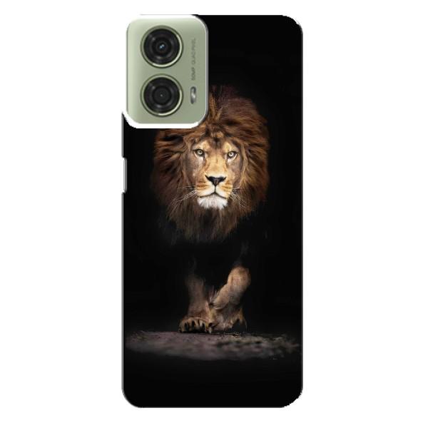 Чохол з картинкою ЛЕВ для Motorola MOTO G24 (VPrint) – Лев