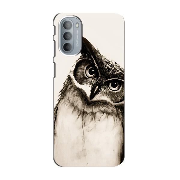 Чехол с птицами на Motorola MOTO G31 (VPrint) – Сова