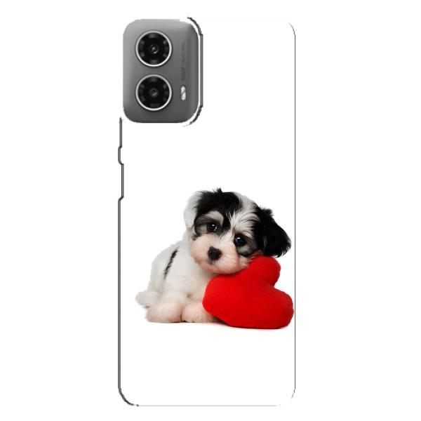 Чехлы с собаками для Motorola MOTO G34 (VPrint) – Песик