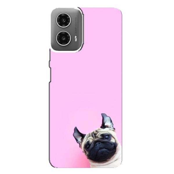 Чехлы с собаками для Motorola MOTO G34 (VPrint) – Смешная собака