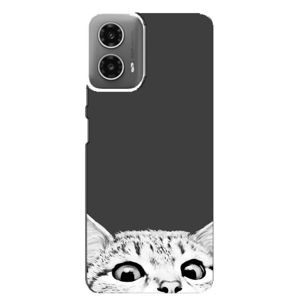 Чохол на Моторола МОТО G34 з Котиками (VPrint) – Виглядає котик