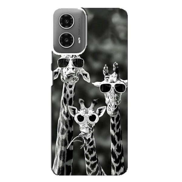 Силиконовый чехол с КАРТИНКАМИ лето для Motorola MOTO G34 (AlphaPrint) – Жирафы в очках
