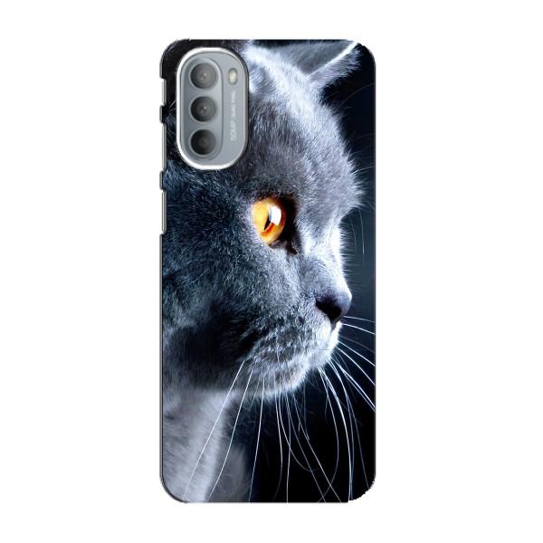 Чехлы с Котиками для Motorola MOTO G41 (VPrint) – Серый Кот