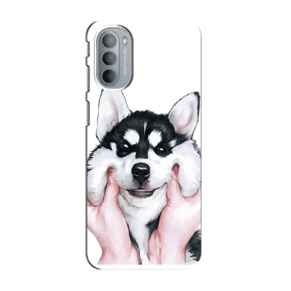 Чехлы с собаками для Motorola MOTO G41 (VPrint) – Довольный Хаски