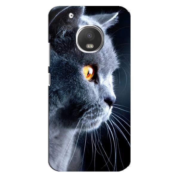 Чехлы с Котиками для Motorola MOTO G5 Plus (VPrint) – Серый Кот