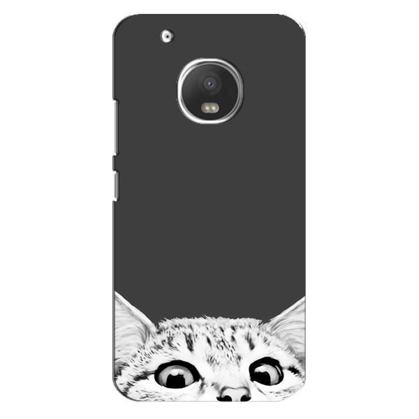 Чехол на Моторола МОТО Ж5 Плюс с Котами (VPrint) – Выглядывает кот