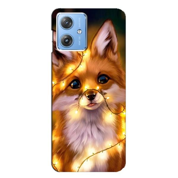 Чохли з картинкою Лисичка для Motorola MOTO G54 / G54 Power (VPrint) – Лисичка в гірляндах