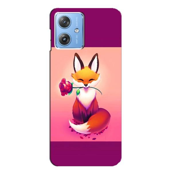 Чохли з картинкою Лисичка для Motorola MOTO G54 / G54 Power (VPrint) – Лиса з трояндою