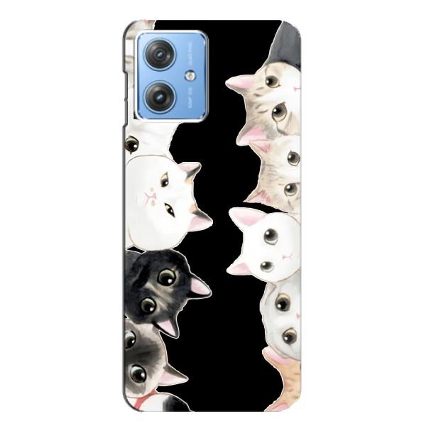 Чехол на Мото Джи 54 с Котами (VPrint) – Взгляд котов
