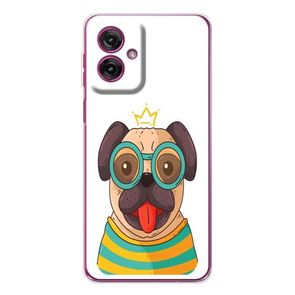 Бампер для Motorola Moto G55 з картинкою "Песики" – Собака Король