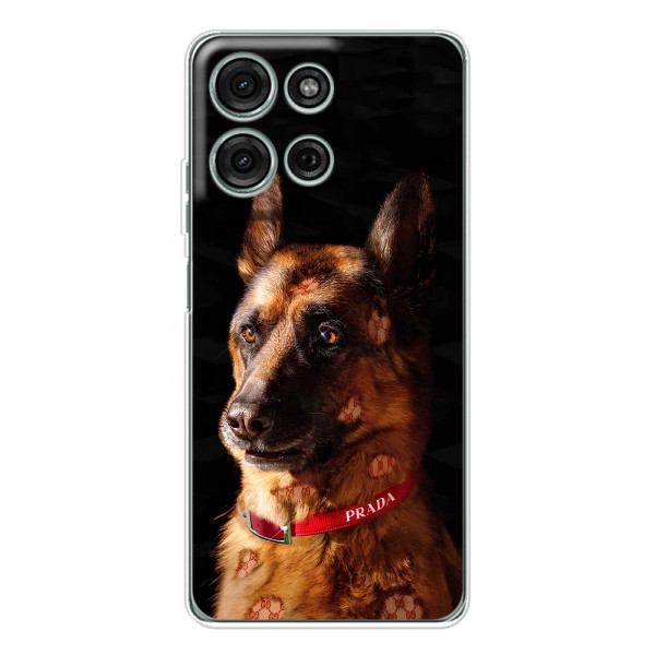 Чехлы с картинками животных Motorola MOTO G56 – Овчарка