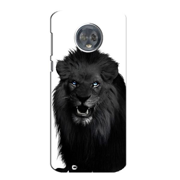 Чехлы с картинками животных Motorola MOTO G6 – Черный ЛЕВ