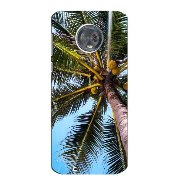 Силиконовый чехол с КАРТИНКАМИ лето для Motorola MOTO G6 (AlphaPrint) – Пальма