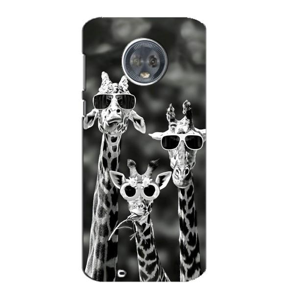 Силиконовый чехол с КАРТИНКАМИ лето для Motorola MOTO G6 (AlphaPrint) – Жирафы в очках