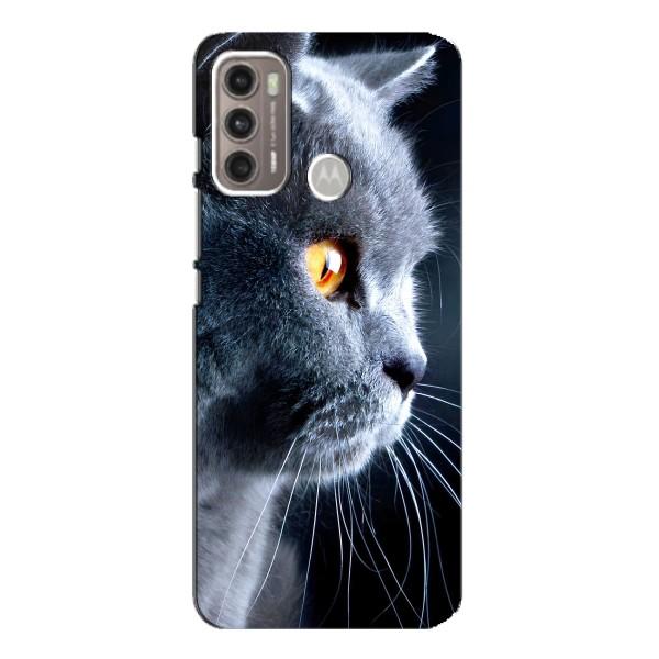 Чохли з Котиками для Motorola MOTO G60 (VPrint) – Сірий Кіт