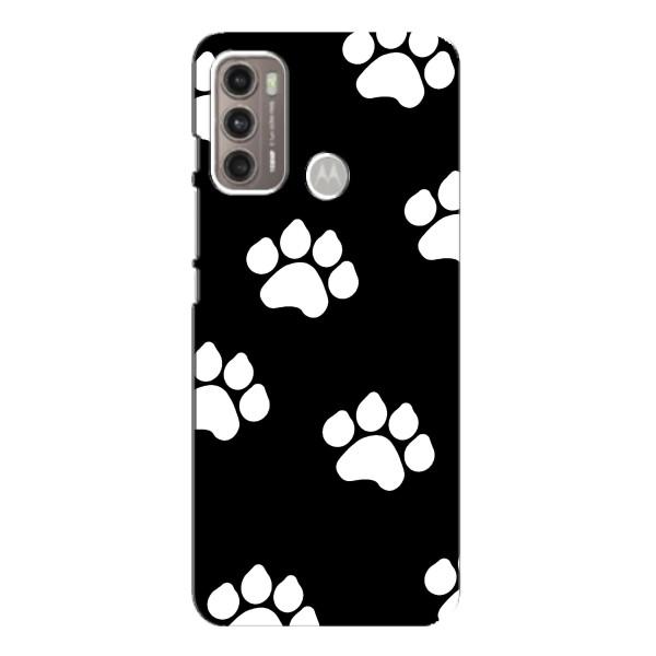 Чехлы с собаками для Motorola MOTO G60 (VPrint) – Следы собаки