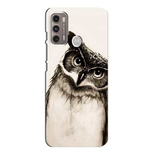 Чехол с птицами на Motorola MOTO G60 (VPrint) – Сова