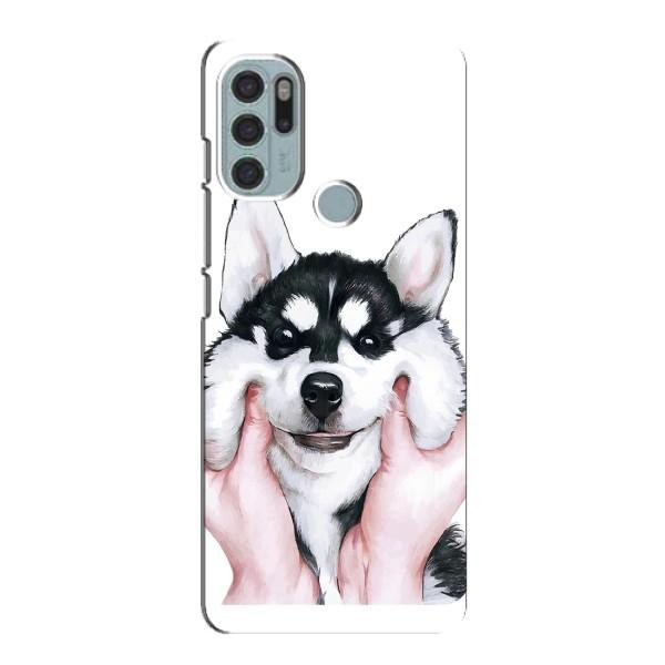 Чохли з собаками для Motorola MOTO G60s (VPrint) – Радісний Хаскі