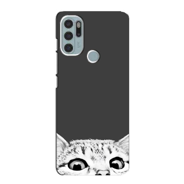 Чохол на Моторола МОТО G60с з Котиками (VPrint) – Виглядає котик