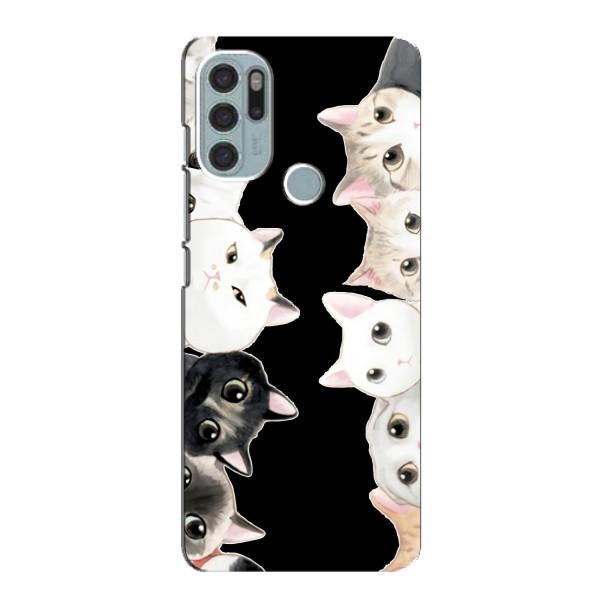 Чохол на Моторола МОТО G60с з Котиками (VPrint) – Погляд котиків