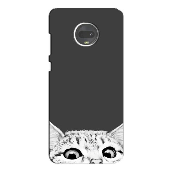 Чехол на Мото G7 Плюс с Котами (VPrint) – Выглядывает кот