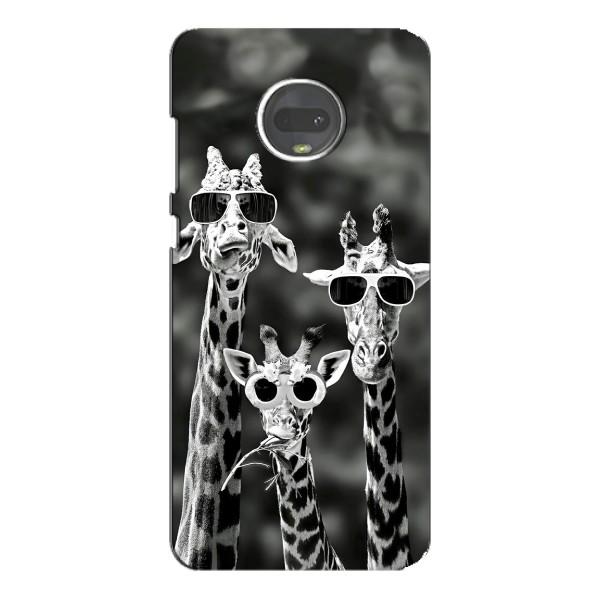 Силиконовый чехол с КАРТИНКАМИ лето для Motorola MOTO G7 Plus (AlphaPrint) – Жирафы в очках