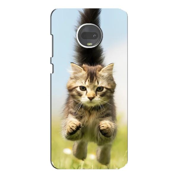 Чехлы с Котиками для Motorola MOTO G7 (VPrint) – Прыжок кота