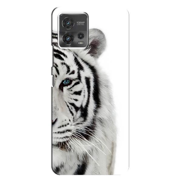 Чохли з картинкою животних Motorola MOTO G72 – Білий Тигр