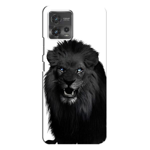 Чохли з картинкою животних Motorola MOTO G72 – Чорний ЛЕВ