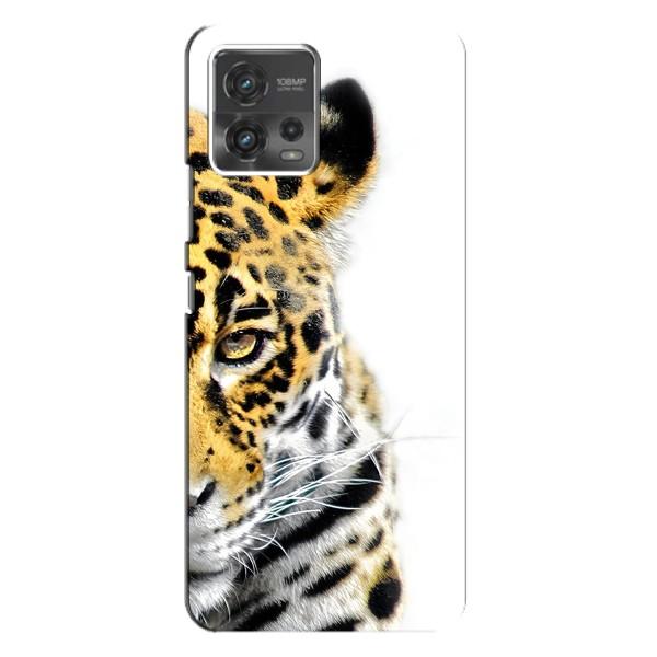 Чохли з картинкою животних Motorola MOTO G72 – Леопард