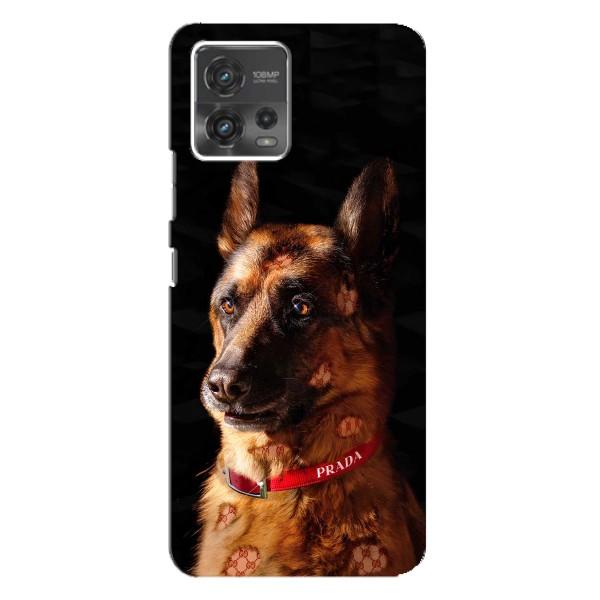 Чохли з картинкою животних Motorola MOTO G72 – Овчарка
