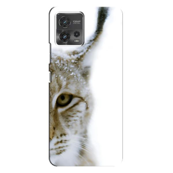 Чохли з картинкою животних Motorola MOTO G72 – Рись