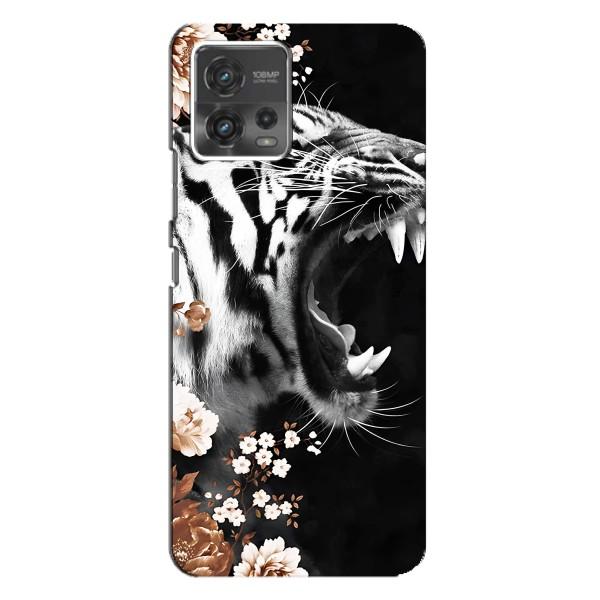 Чохли з картинкою животних Motorola MOTO G72 – Стильний ТИГР