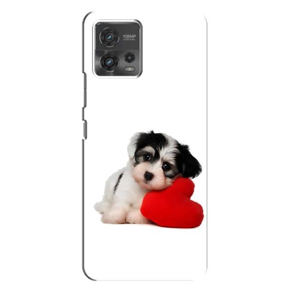 Чехлы с собаками для Motorola MOTO G72 (VPrint) – Песик