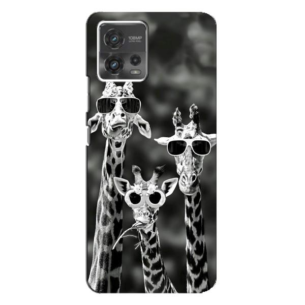 Силиконовый чехол с КАРТИНКАМИ лето для Motorola MOTO G72 (AlphaPrint) – Жирафы в очках