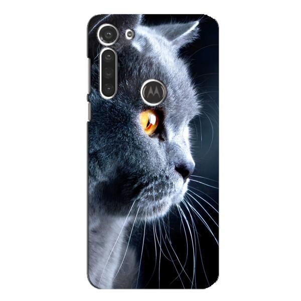 Чехлы с Котиками для Motorola MOTO G8 (VPrint) – Серый Кот