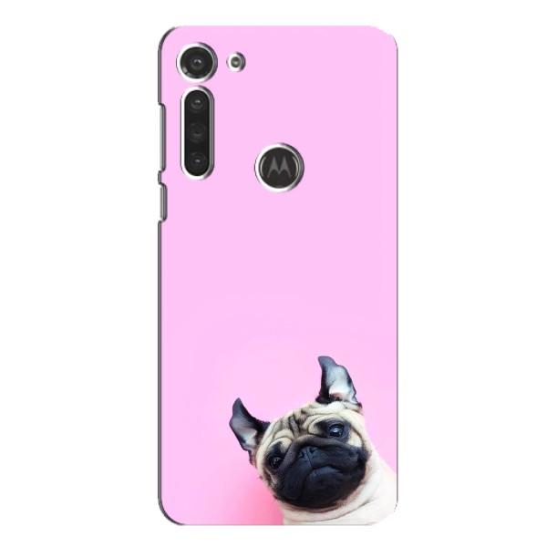 Чохли з собаками для Motorola MOTO G8 (VPrint) – Смішна собака