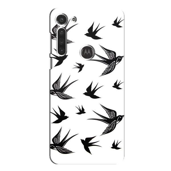 Чехол с птицами на Motorola MOTO G8 (VPrint) – Ласточки