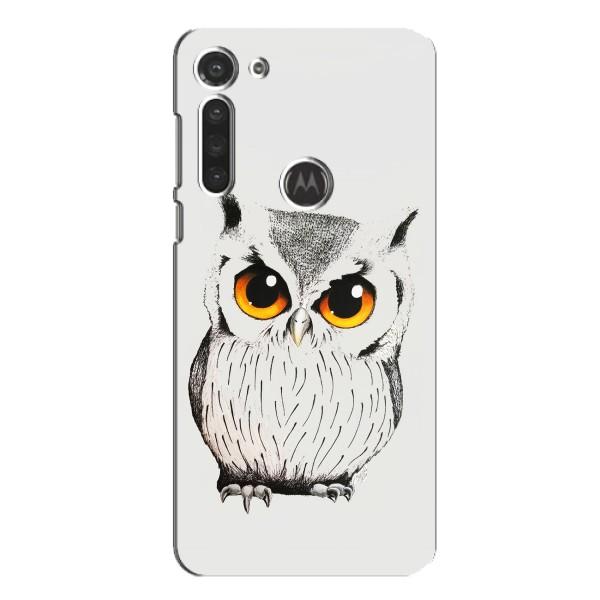 Чехол с птицами на Motorola MOTO G8 (VPrint) – Милая Сова