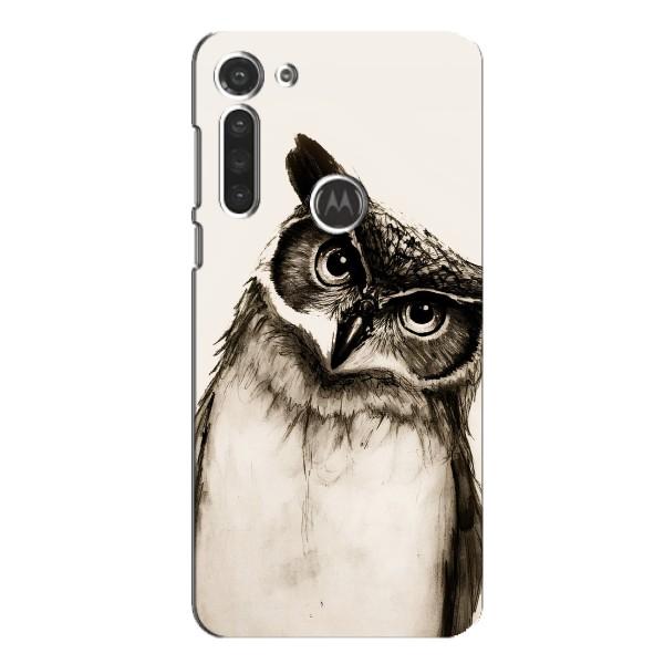 Чехол с птицами на Motorola MOTO G8 (VPrint) – Сова